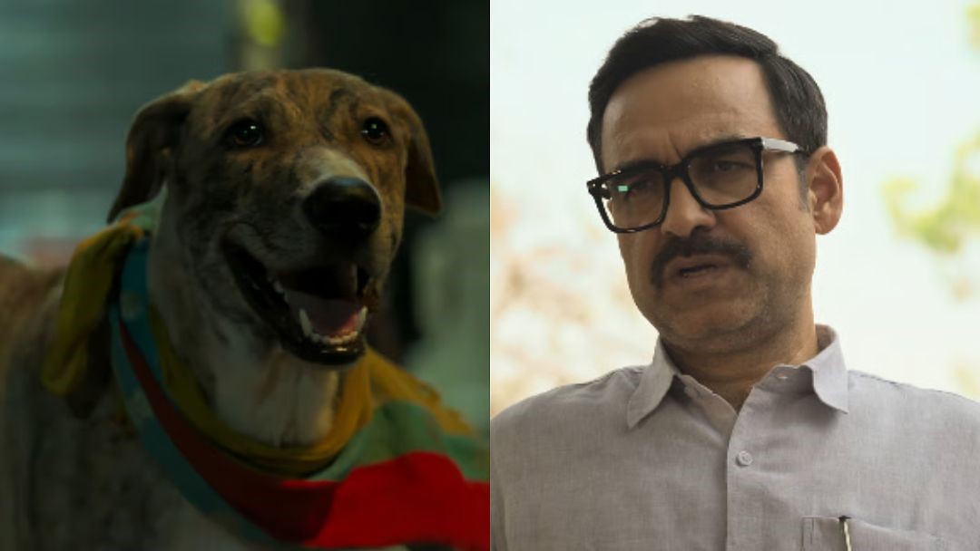 Ohh My Dog review